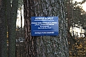 Rostoczek 11.2008 149